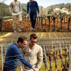 Vino Frances Chateau Miraval Rose Jolie Pitt 750ml 5