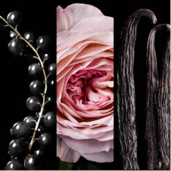 Alternative view of Perfume Carolina Herrera 212 Vip Rose Elixir edp 80ml