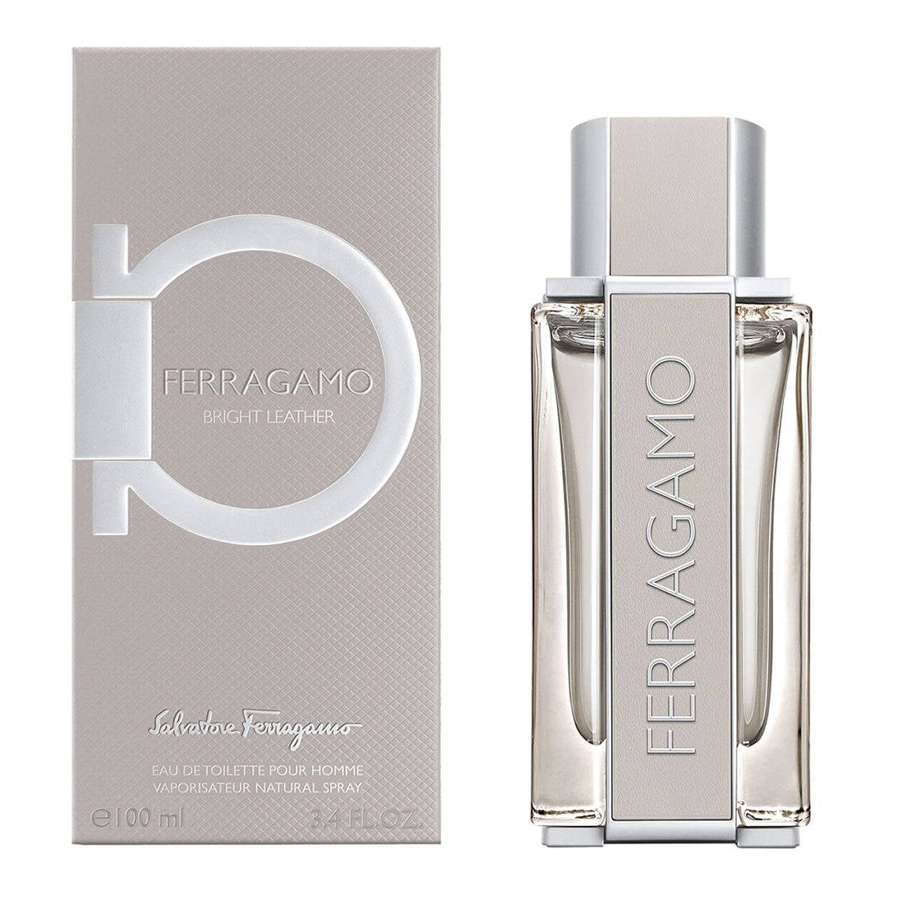 Men's Perfume Salvatore Ferragamo FERRAGAMO SUBLIME LEATHER EDP 100 ml