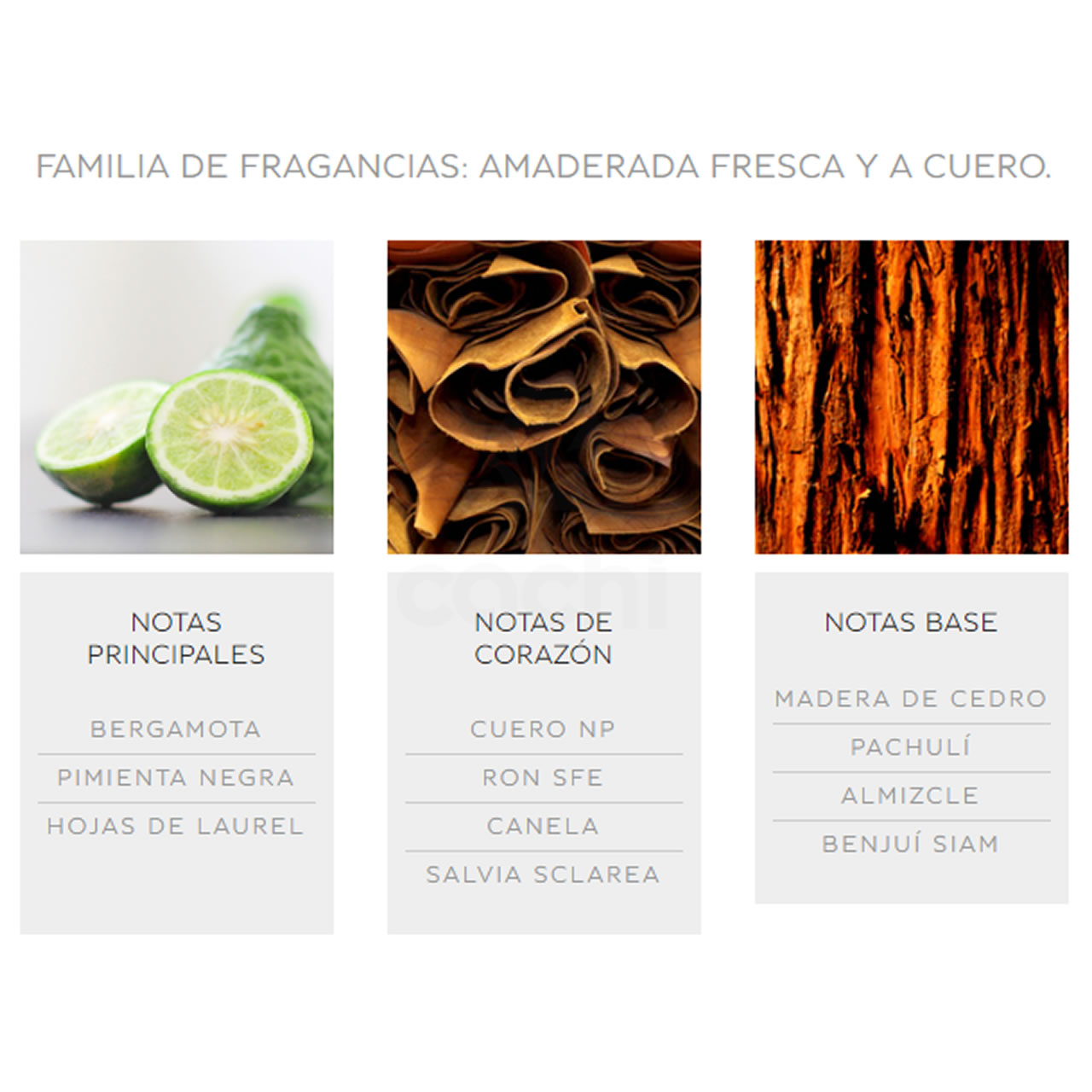 Perfume Bentley For Men Edt 100ml 2 Perfume Bentley For Men Edt 100ml - Imagen 2