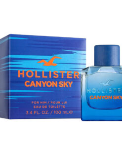 Perfume Hollister Canyon Sky For Him Edt 100ml