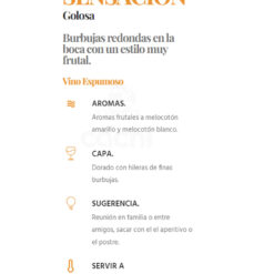 Espumante Frances J P Chenet Blanc de Blanc Demi Sec 3