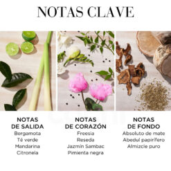 Perfume Elizabeth Arden Green Tea Citron Fressia 100ml 8