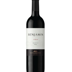 Vino Argentino Benjamín Nieto Senetiner Syrah 750ml