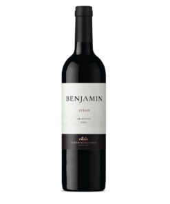 Vino Argentino Benjamín Nieto Senetiner Syrah 750ml