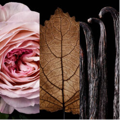 Perfume Carolina Herrera Good Girl edp Blush Elixir 50ml 6