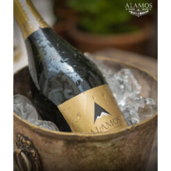 Alternative view of Champagne Alamos Extra Brut 750ml