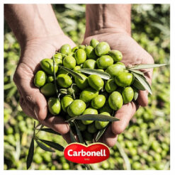 Aceitunas Con Queso Azul Carbonell 350gr