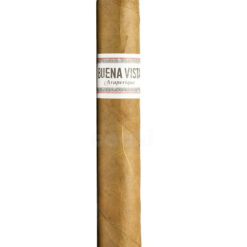 Habanos Buena Vista Araperique Robusto x 5