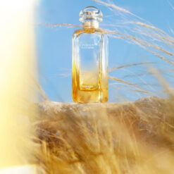 Perfume Hermes Un Jardin A Cythere edt 100ml 7 Perfume Hermes Un Jardin A Cythere edt 100ml 6
