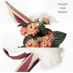 Alternative view of Hermes Eau de Rhubarbe Ecarlate 100ml