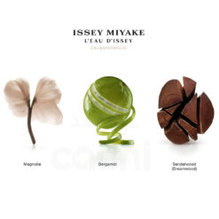 L Eau D Issey Eau & Magnolia 100ml eau de toilette Intense