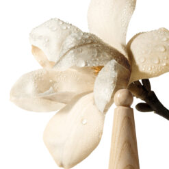 L Eau D Issey Eau & Magnolia 50ml eau de toilette Intense