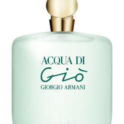 Perfume Acqua Di Gio 100ml Giorgio Armani Original