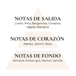 Perfume Arabe Armaf Club de Nuit Intense edp 105ml