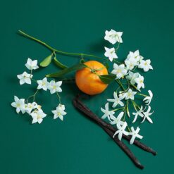 Perfume Benetton Sisterland Green Jasmine edt 80ml