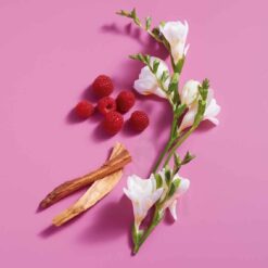 Perfume Benetton Sisterland Pink Raspberry edt 80ml