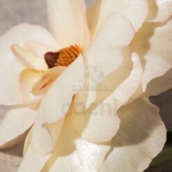 Perfume Burberry Her Edp 100ml Original