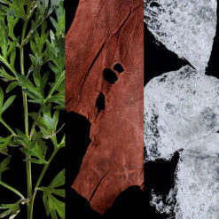 Perfume Carolina Herrera Bad Boy edp Cobalt Electrique 100ml 3 Perfume Carolina Herrera Bad Boy edp Cobalt Electrique 100ml