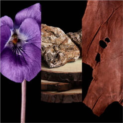 Perfume Carolina Herrera CH Men 50ml Original