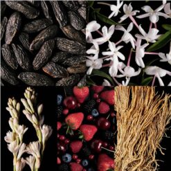 Perfume Carolina Herrera Good Girl Supreme edp 30ml Original 7 Perfume Carolina Herrera Good Girl Supreme edp 30ml Original