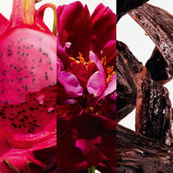 Perfume Carolina Herrera La Bomba edp 30ml Original 4 Perfume Carolina Herrera La Bomba edp 30ml Original