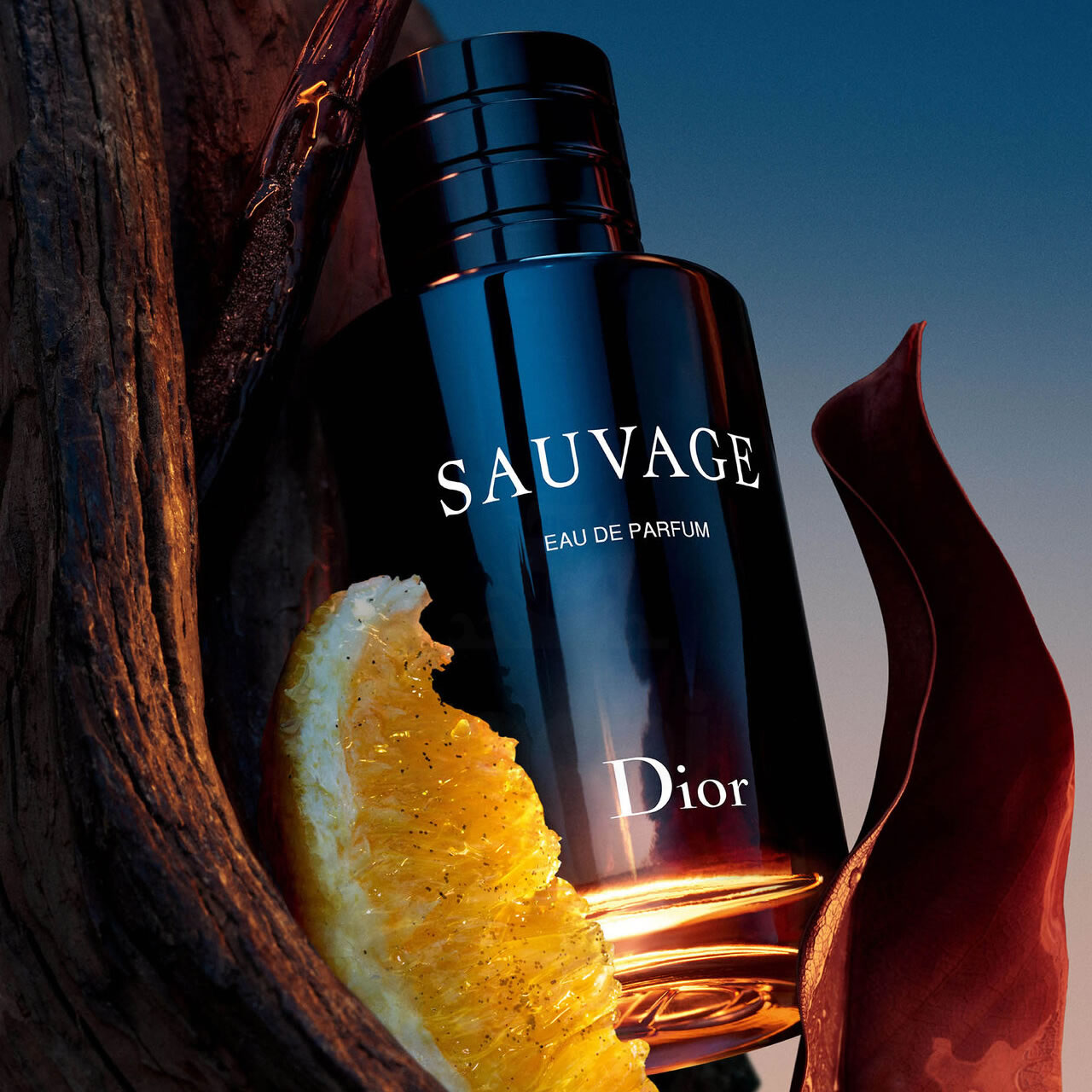 Sauvage Parfum Sauvage Dior 60 Ml Precio Sauvage By Christian Dior