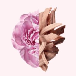 Perfume Givenchy Irresistible Edt 50ml