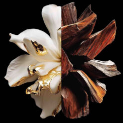 Perfume Givenchy L'Interdit Parfum 80ml 5 Perfume Givenchy L'Interdit Parfum 80ml