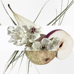 Perfume Hermes Un Jardin Sur Le Toit edt 100ml 5 Perfume Hermes Un Jardin Sur Le Toit edt 100ml