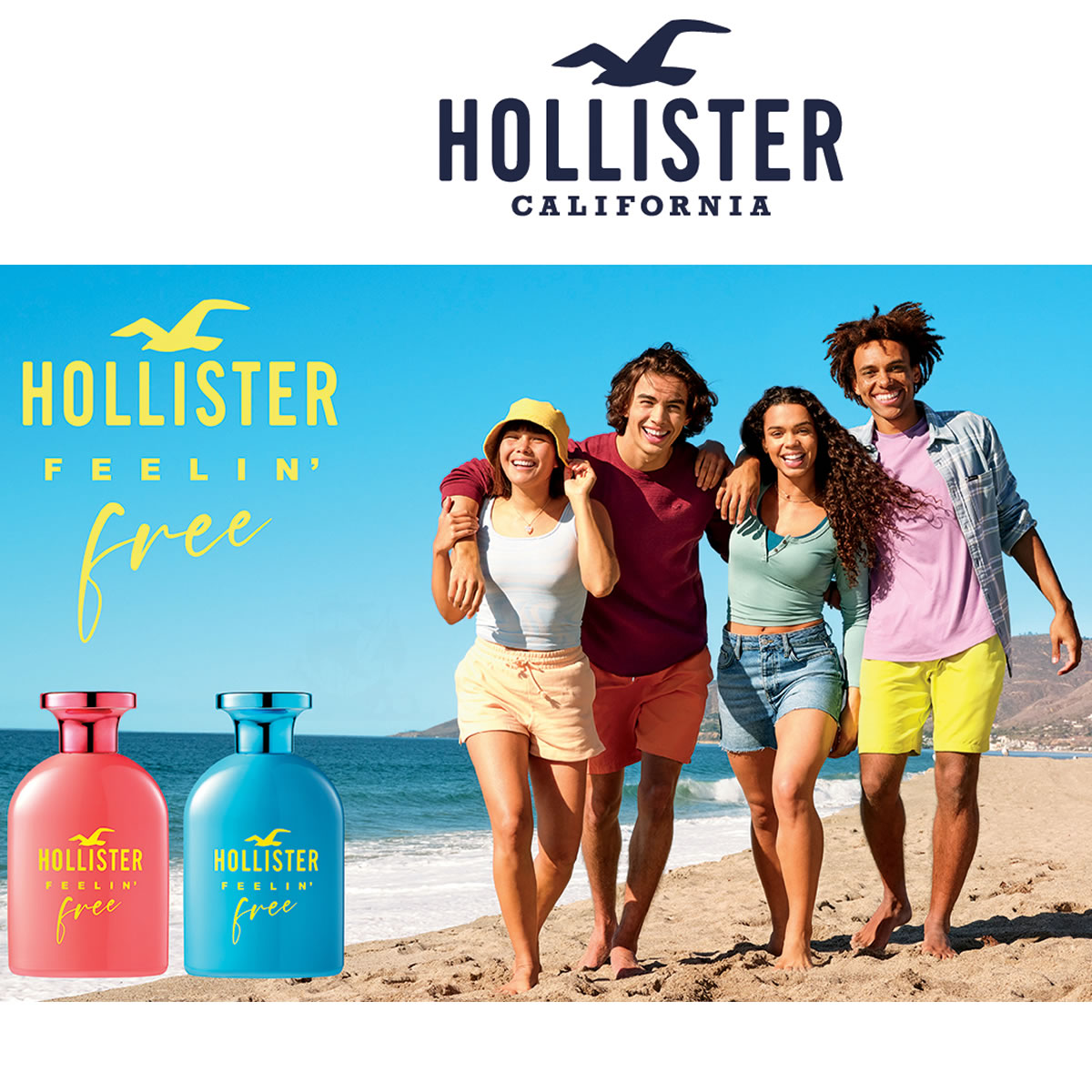 Perfume Hollister Feelin' Free For Him Edt 100ml
