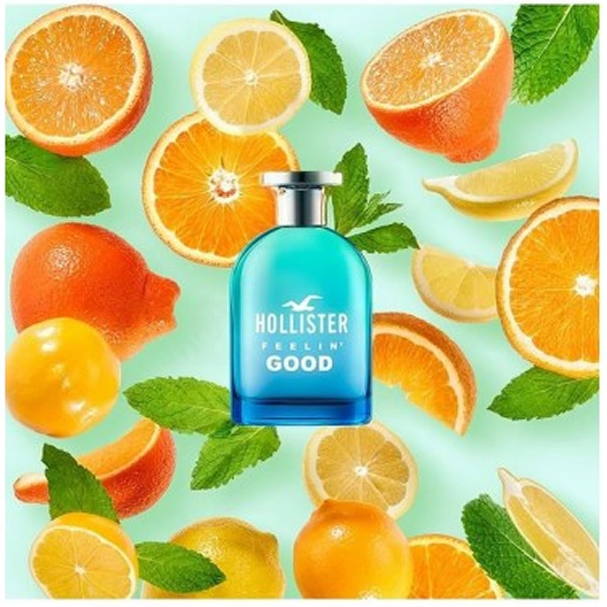 Perfume Hollister Feelin' Good Him Edt 100ml
