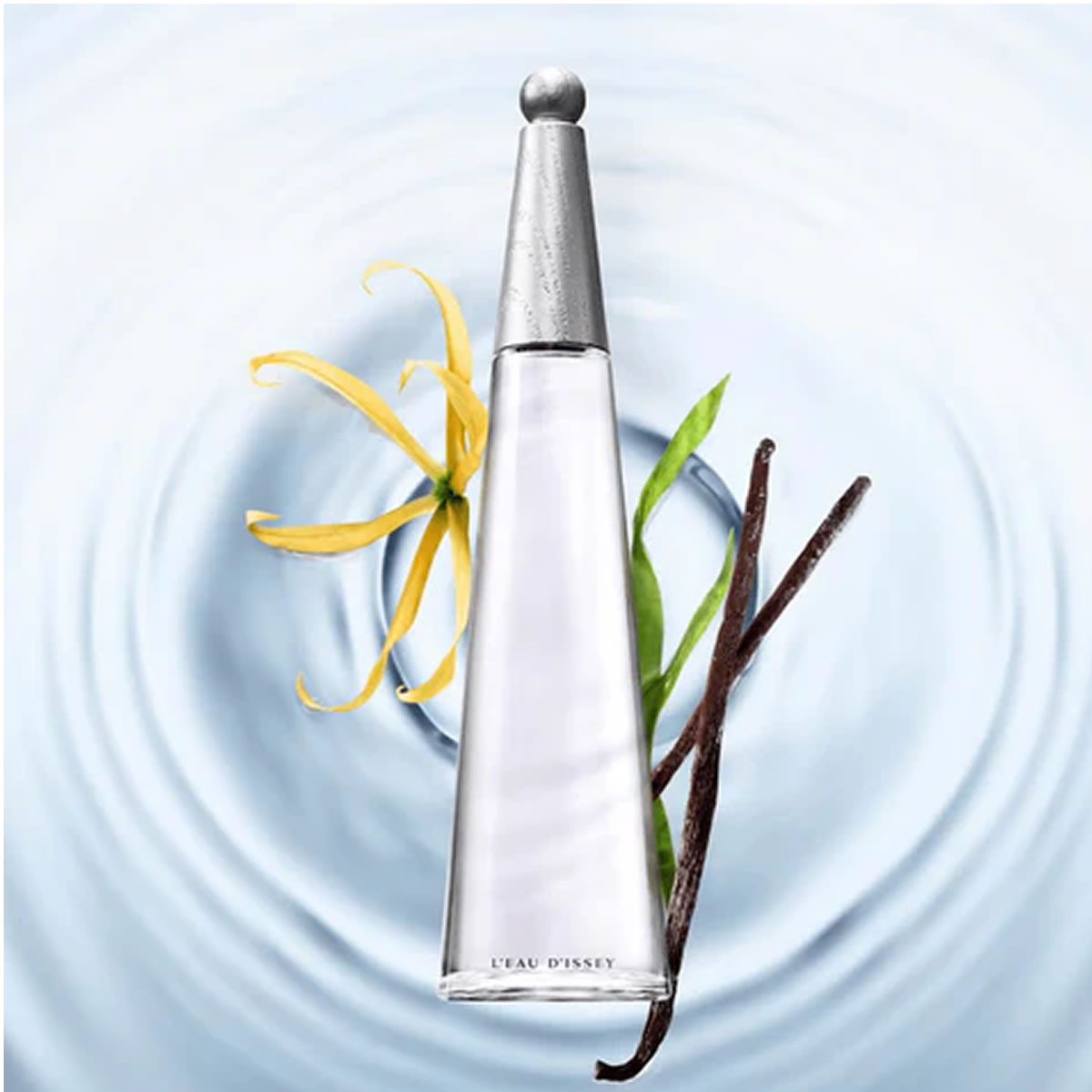 Perfume L'eau D'Issey 50ml Edp Intense Issey Miyake