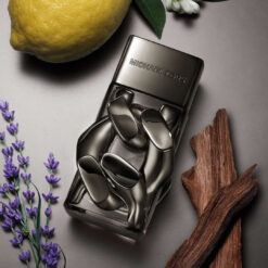 Perfume Michael Kors Pour Homme Absolut Edp 100ml