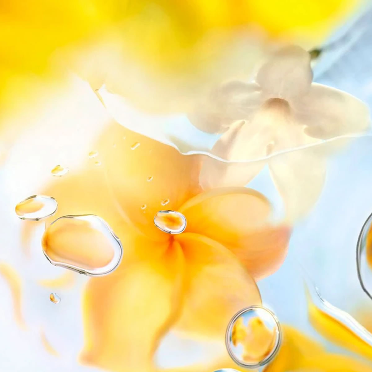 Perfume O de Zenith edt 100ml Lancome 2 Perfume O de Zenith edt 100ml Lancome