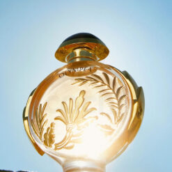 Perfume Paco Rabanne Olympea Solar Intense edp 80ml
