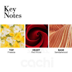 Perfume Red Door edt 100ml Original Elizabeth Arden 3 Perfume Red Door edt 100ml Original Elizabeth Arden