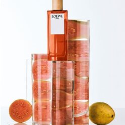 Perfume Solo Loewe 50ml Original