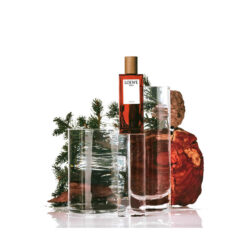 Perfume Solo Loewe Cedro 100ml Original