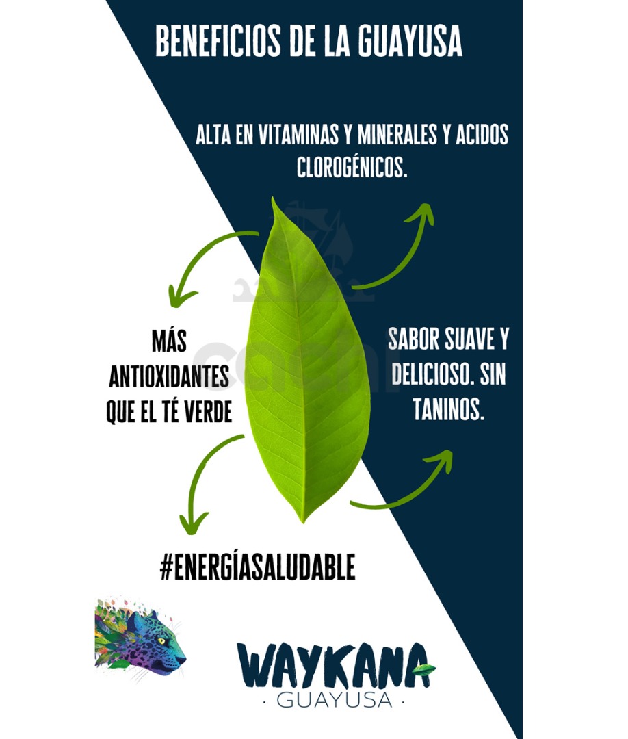 Te Waykana de Guayusa Frutos Rojos 20 sobres 2 Te Waykana de Guayusa Frutos Rojos 20 sobres