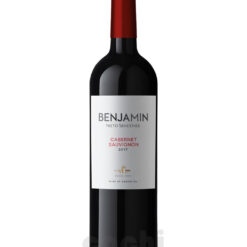 Vino Benjamin Nieto Senetiner Cabernet Sauvignon