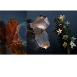 Perfume Paco Rabanne Fame Parfum 50ml Original 5