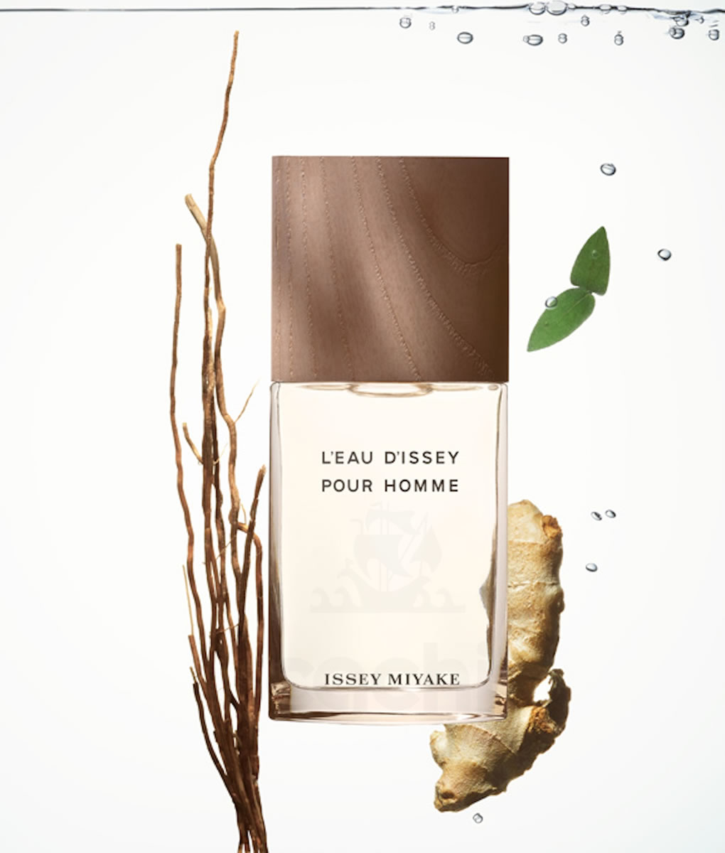 L'eau D'issey Homme Vetiver edt Intense 100ml Issey Miyake 3 L'eau D'issey Homme Vetiver edt Intense 100ml Issey Miyake - Imagen 3