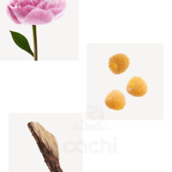 Alternative view of L' Eau D' Issey Peony Pivoine edt Intense 100ml Issey Miyake