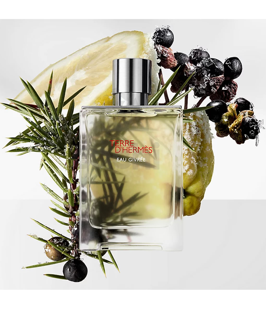 Perfume Terre D' Hermes Eau Givree edp 100ml 3 Perfume Terre D' Hermes Eau Givree edp 100ml - Imagen 3