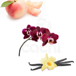 Alternative view of Perfume Viktor & Rolf Flowerbomb Ruby Orchid edp 100ml