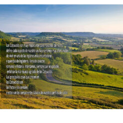 Alternative view of Whisky Cotswolds Single Malt Signature 700ml